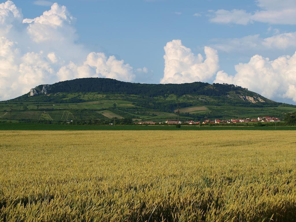 Penzion Kratochvil Dolní Dunajovice Buitenkant foto